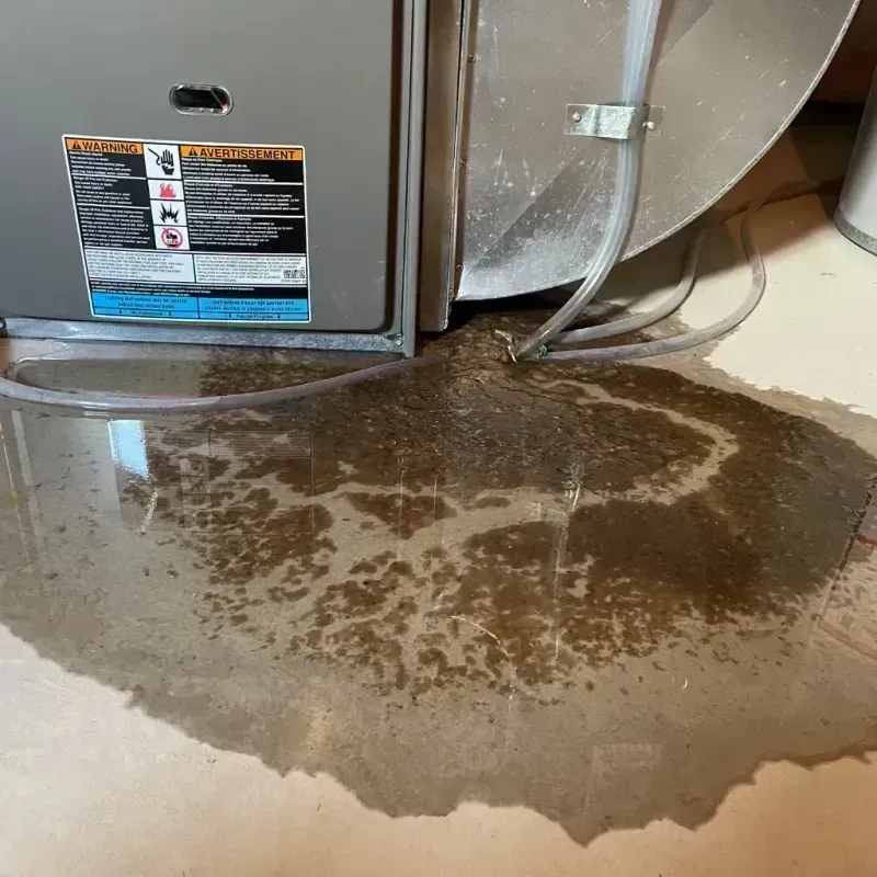 Appliance Leak Cleanup in Cortland, OH